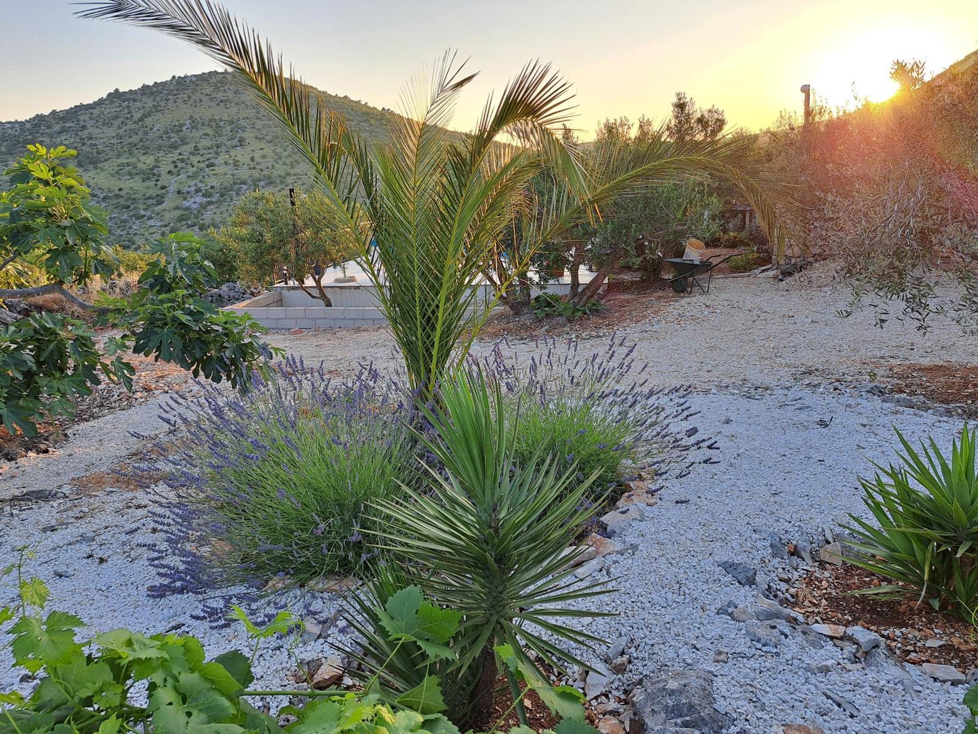 Villa Casa Mia Gornji Seget Luaran gambar